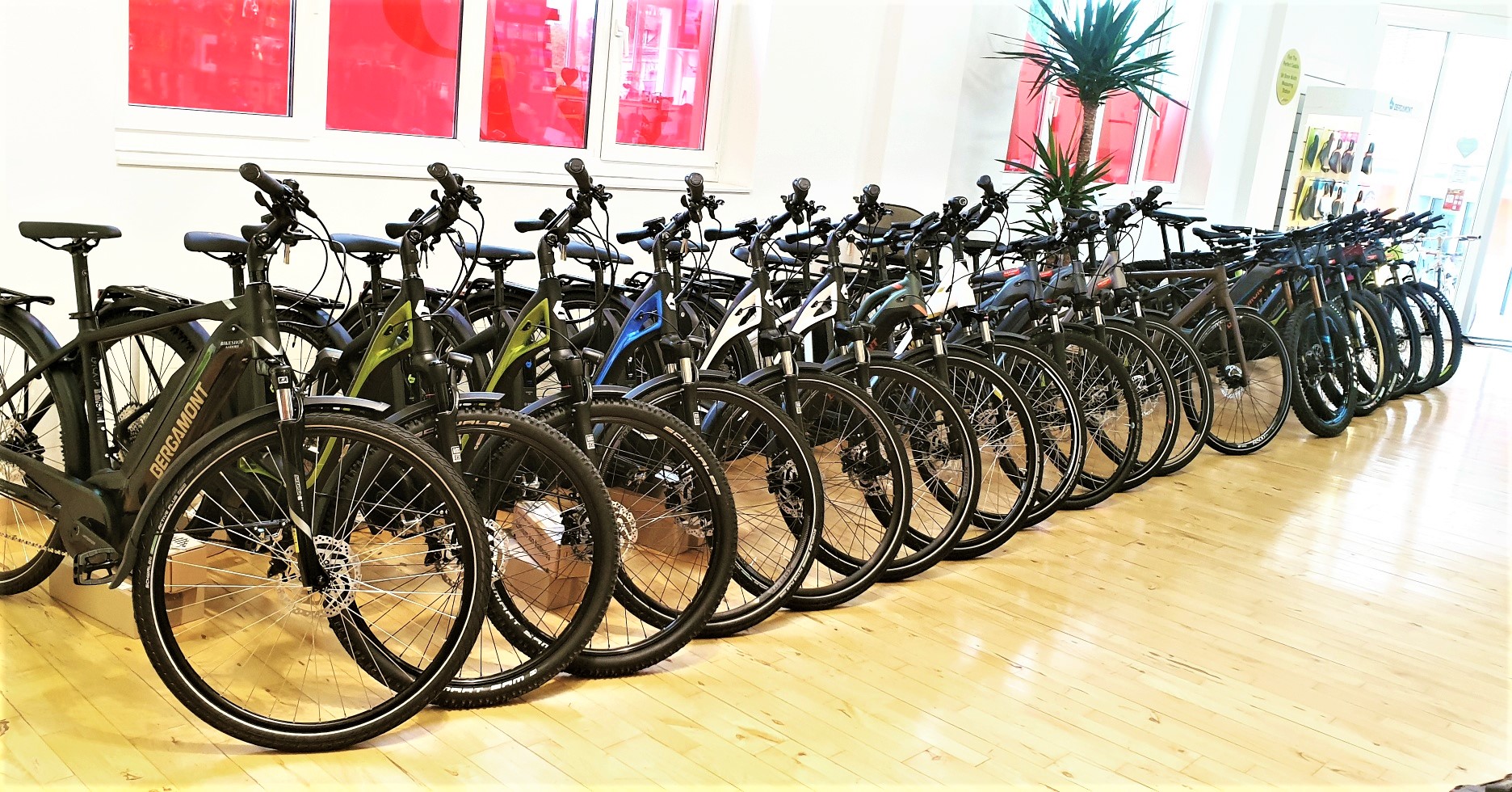 E-Bikes